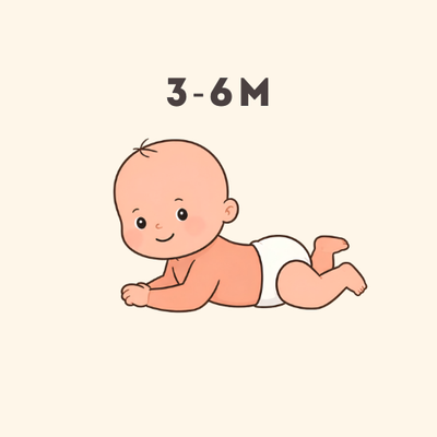3-6 months