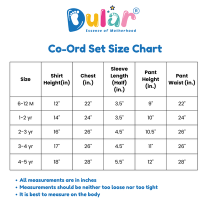 co ord set for kids | Blue | Flamingo