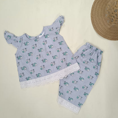 co ord set for Girls | Elephant | Sky Blue