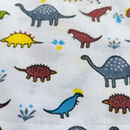 co ord set for kids | Multi Dinosaur