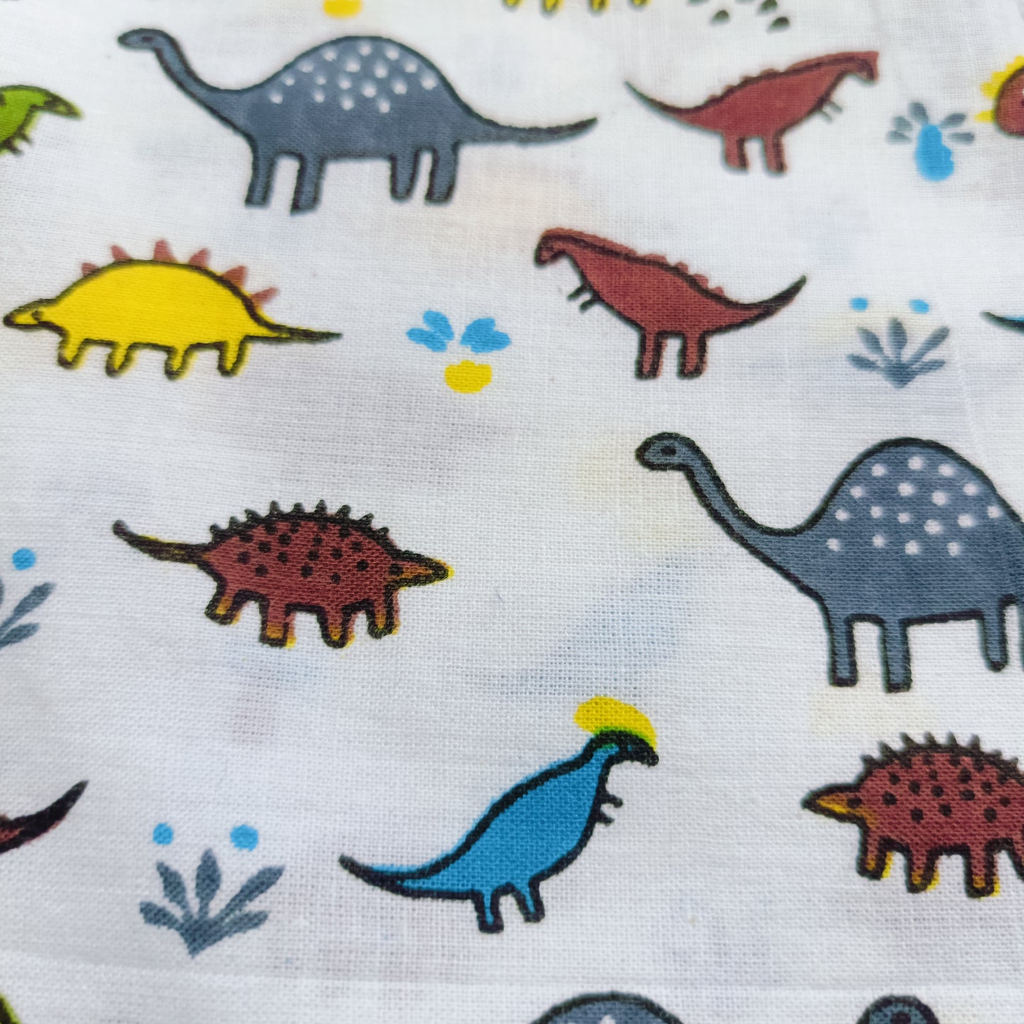 co ord set for kids | Multi Dinosaur